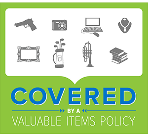 Insurance That Covers Valuable Items