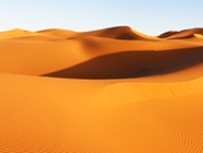 desert-185.jpg desert-185.jpg