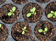 innovative-ways-to-grow-deposits-185.jpg innovative-ways-to-grow-deposits-185.jpg
