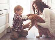 what-you-need-to-know-whole-life-insurance-185.jpg what-you-need-to-know-whole-life-insurance-185.jpg