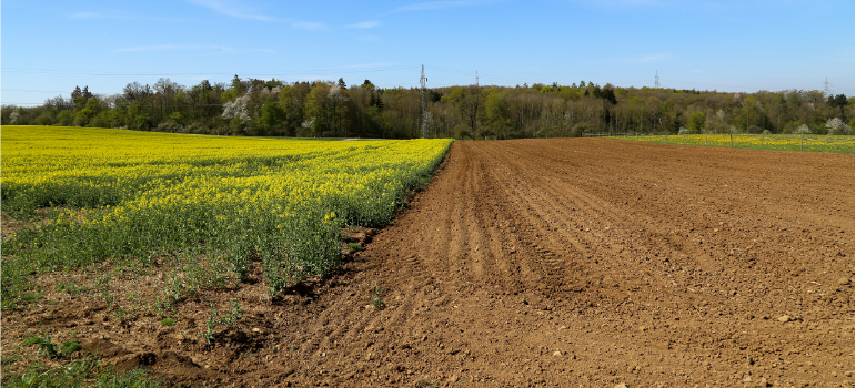 3_can-be-more-environmentally-friendly-than-other-options