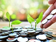 invest-according-to-your-values-listing.jpg invest-according-to-your-values-listing.jpg