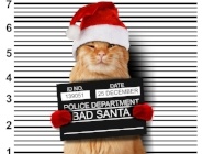 5-tips-for-thwarting-thieves-this-holiday-season-301282-edited.jpg 5-tips-for-thwarting-thieves-this-holiday-season-301282-edited.jpg
