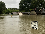 hurricane-harvey-185.png hurricane-harvey-185.png